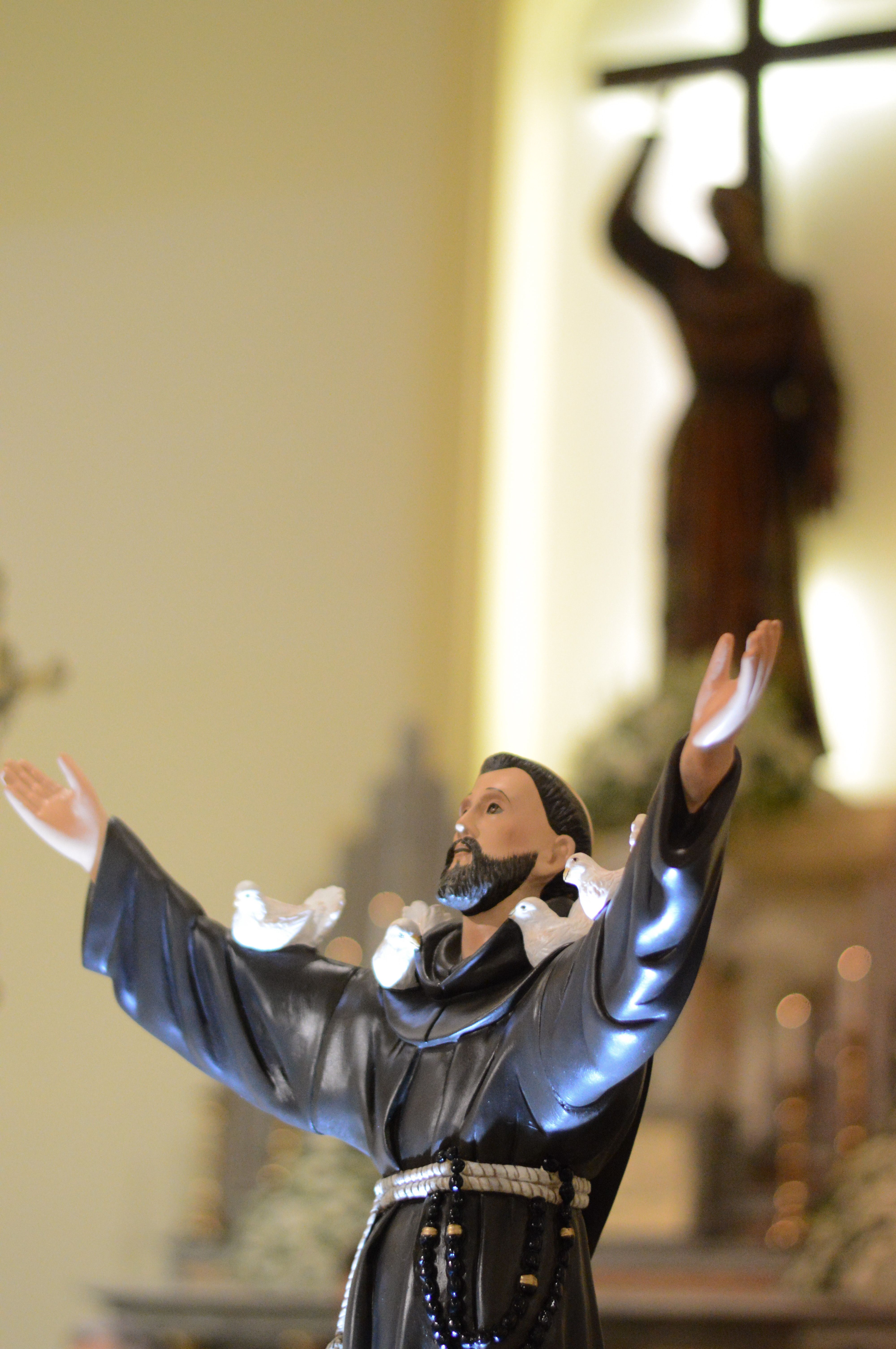 Kostenloses Foto zum Thema: heilige franz von assisi, heiligen, iglesia