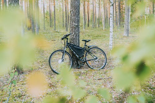 Foto stok gratis alam, angkutan, Belarus