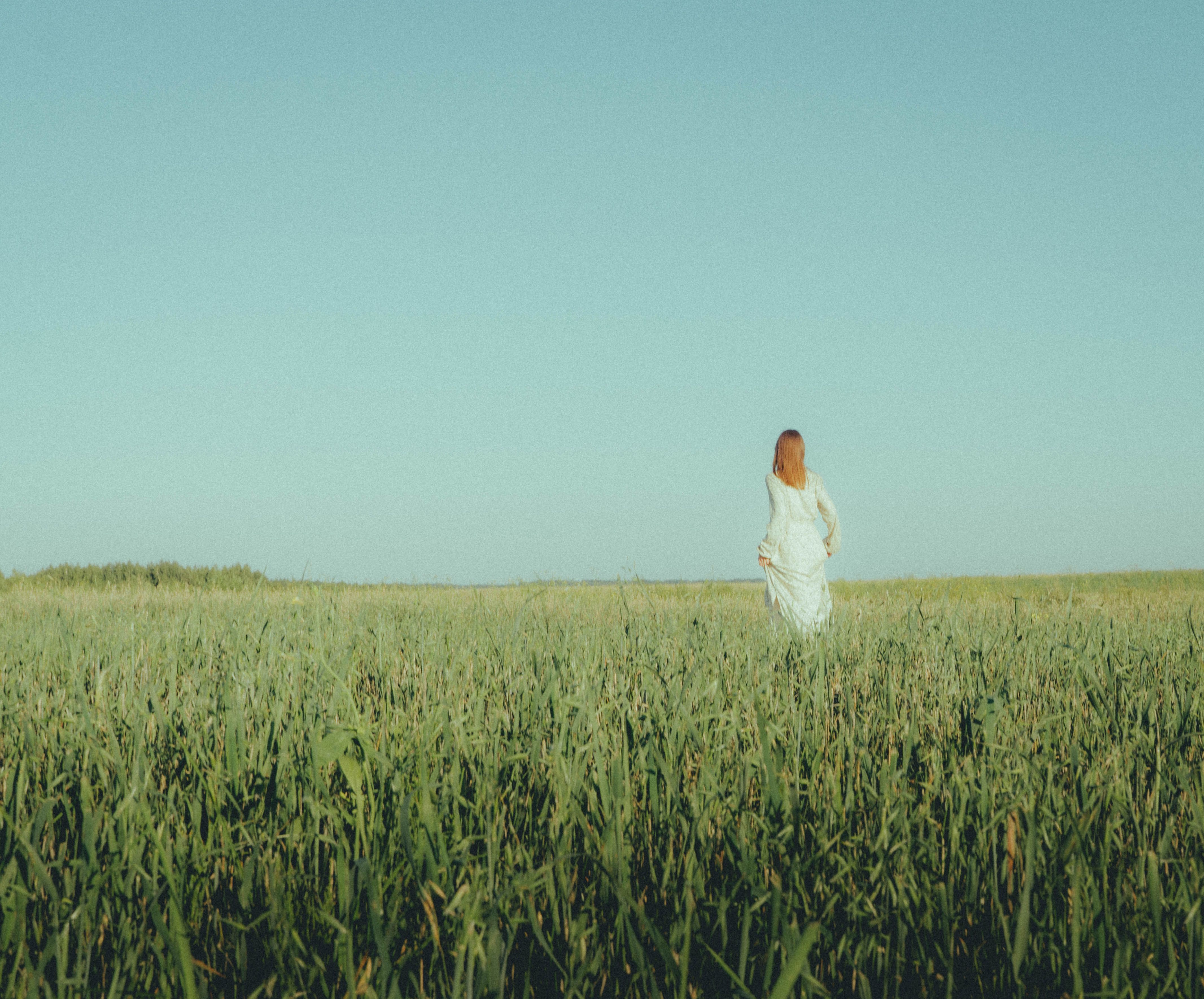 young beautiful girl in a long dress in a vast field · Free Stock Photo