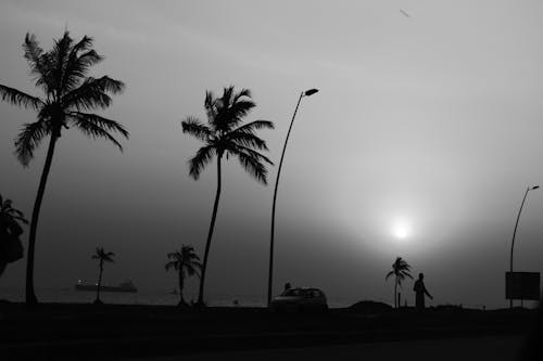 Photos gratuites de black and white, brouillard, côte