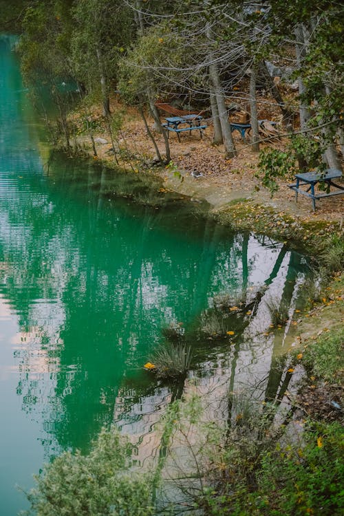 Wooden Benches by the Lake 