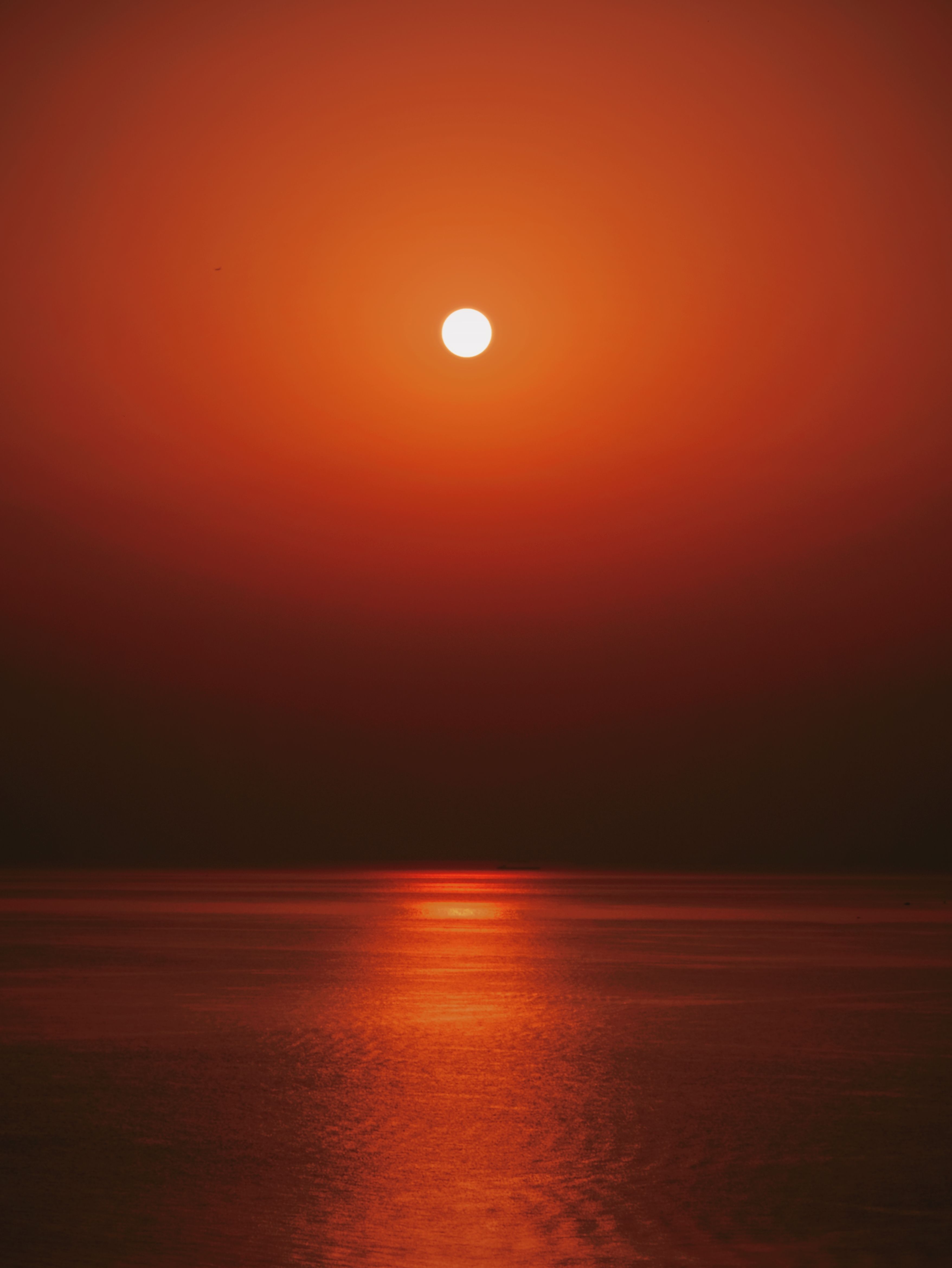 Sun on Yellow Sky over Calm Sea at Sunset · Free Stock Photo
