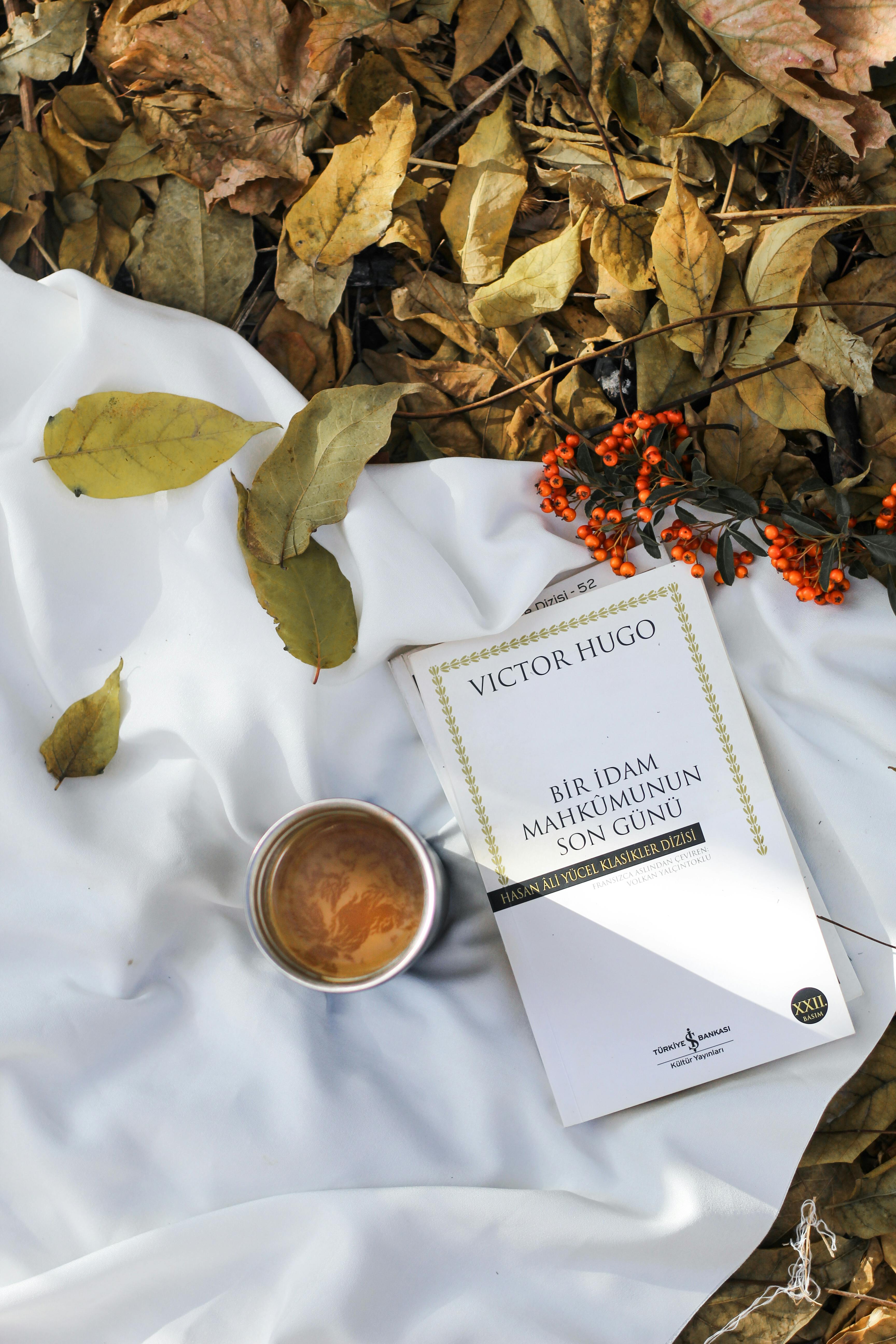 A warm autumn picnic setting with Victor Hugo's book, coffee, and fall leaves.