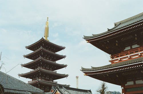 Photos gratuites de bâtiments, bouddhiste, Japonais