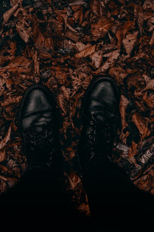 Black Shoes of Person Standing on Autumn Leaves