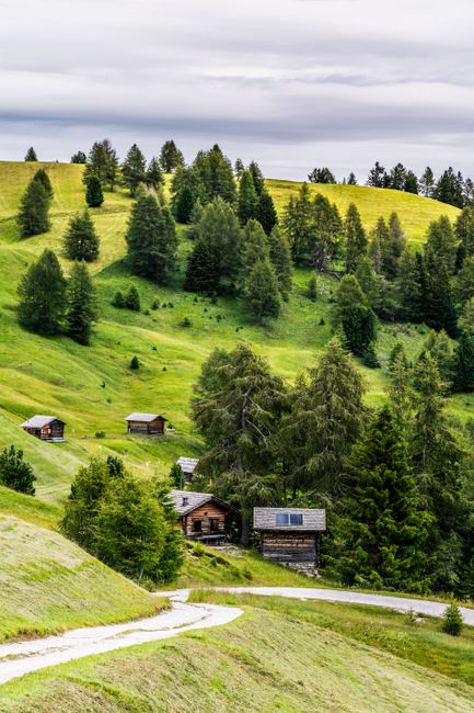 Charming wooden cabins nestled among rolling green hills and dense forest.