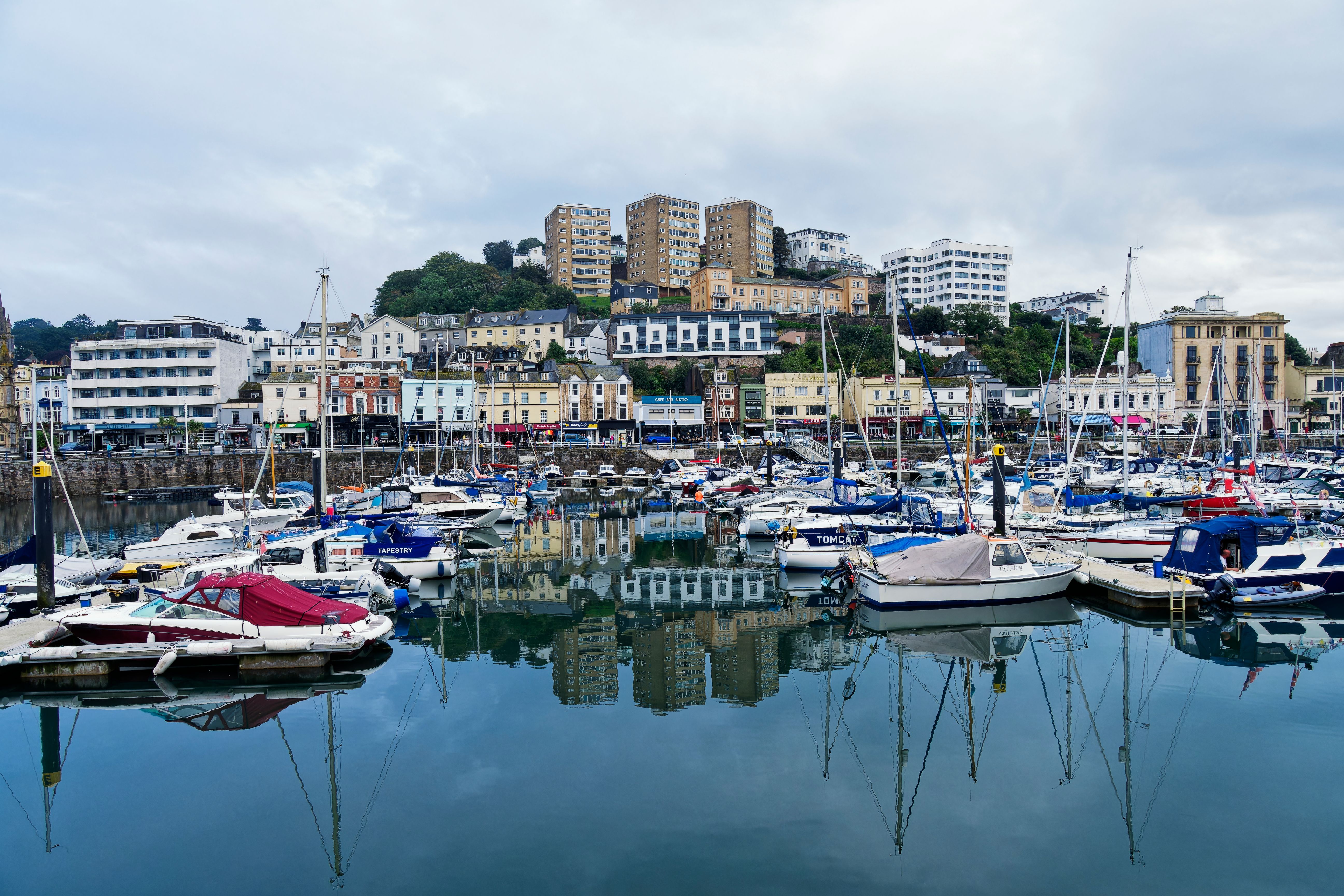 Charming view of yachts moored in a calm marina with a scenic coastal town backdrop.