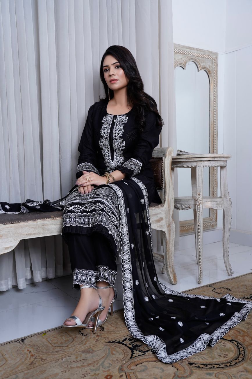 Stylish Embroidered Dress Seated