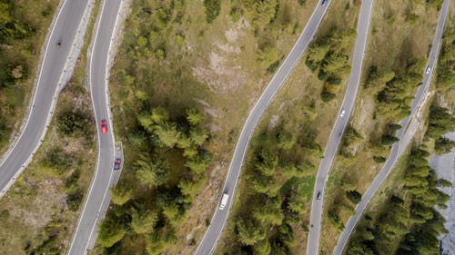 Top View of a Winding Road and Trees