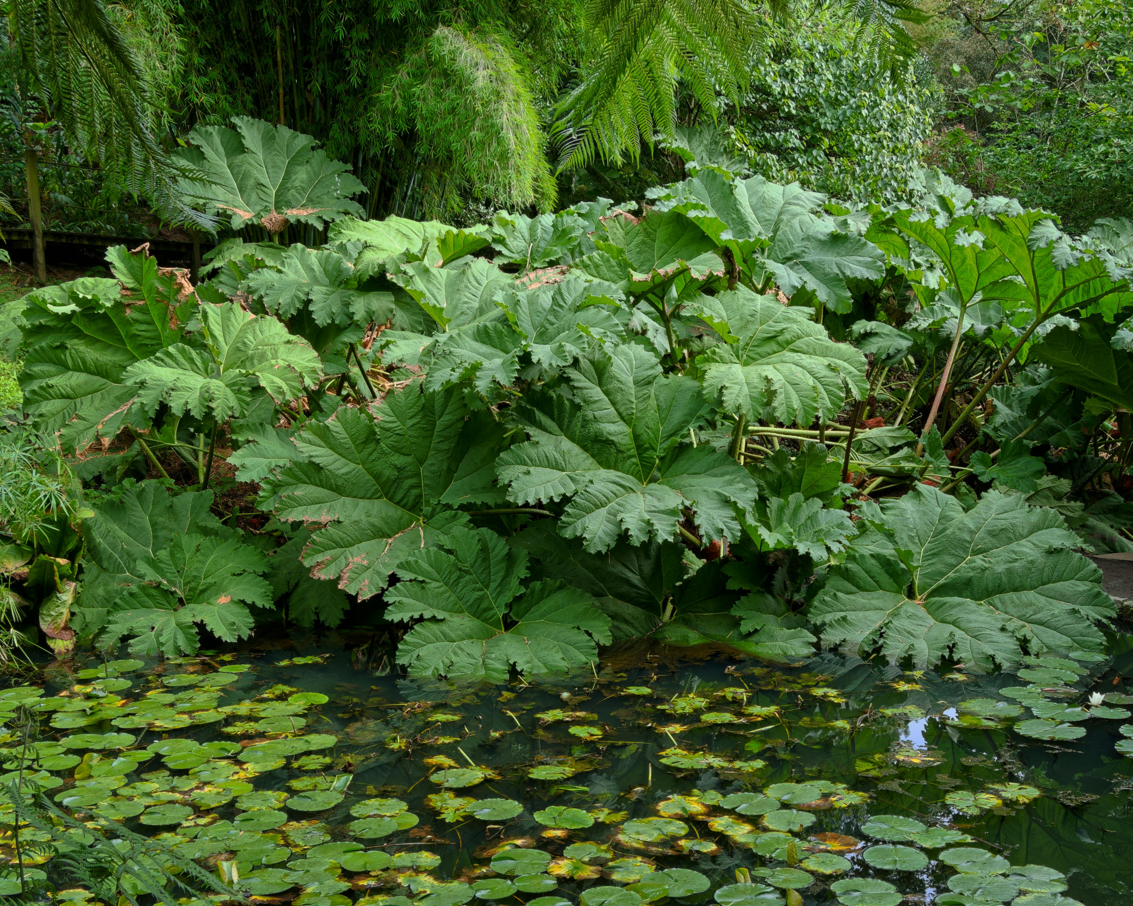 Solar-Teichpumpe & Gartenteich mit Solarstrom 2026
