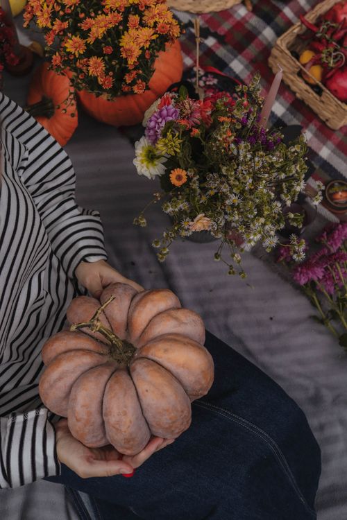 Free Cozy picnic scene with pumpkins, flowers, and a person holding a gourd, showcasing fall vibes. Stock Photo