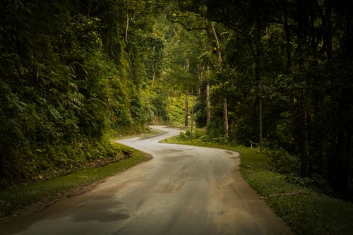 Free Explore a tranquil winding road flanked by lush green forest, perfect for nature lovers and road trips. Stock Photo