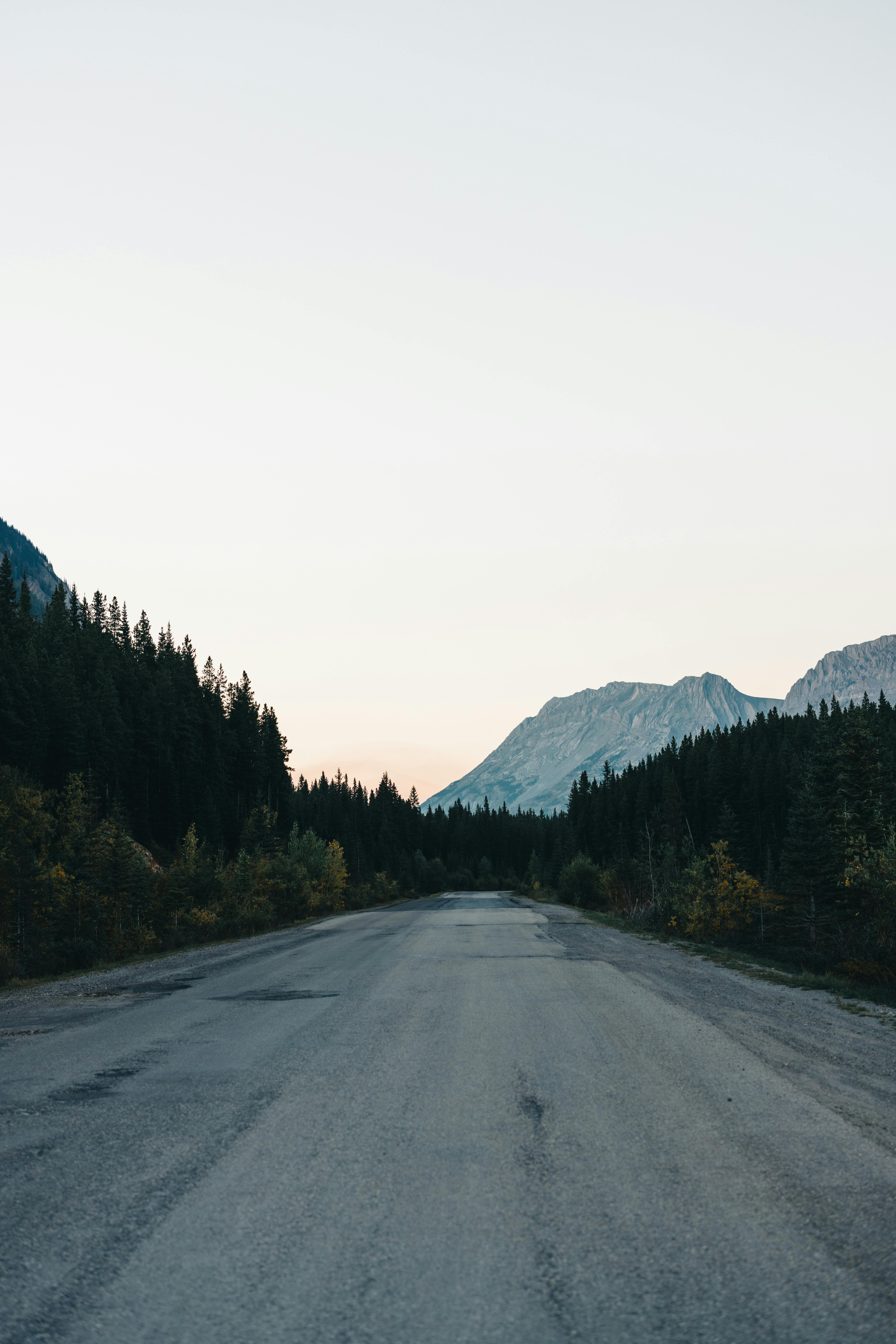 A winding scenic road through a U.S. national park with mountains and evergreen forests