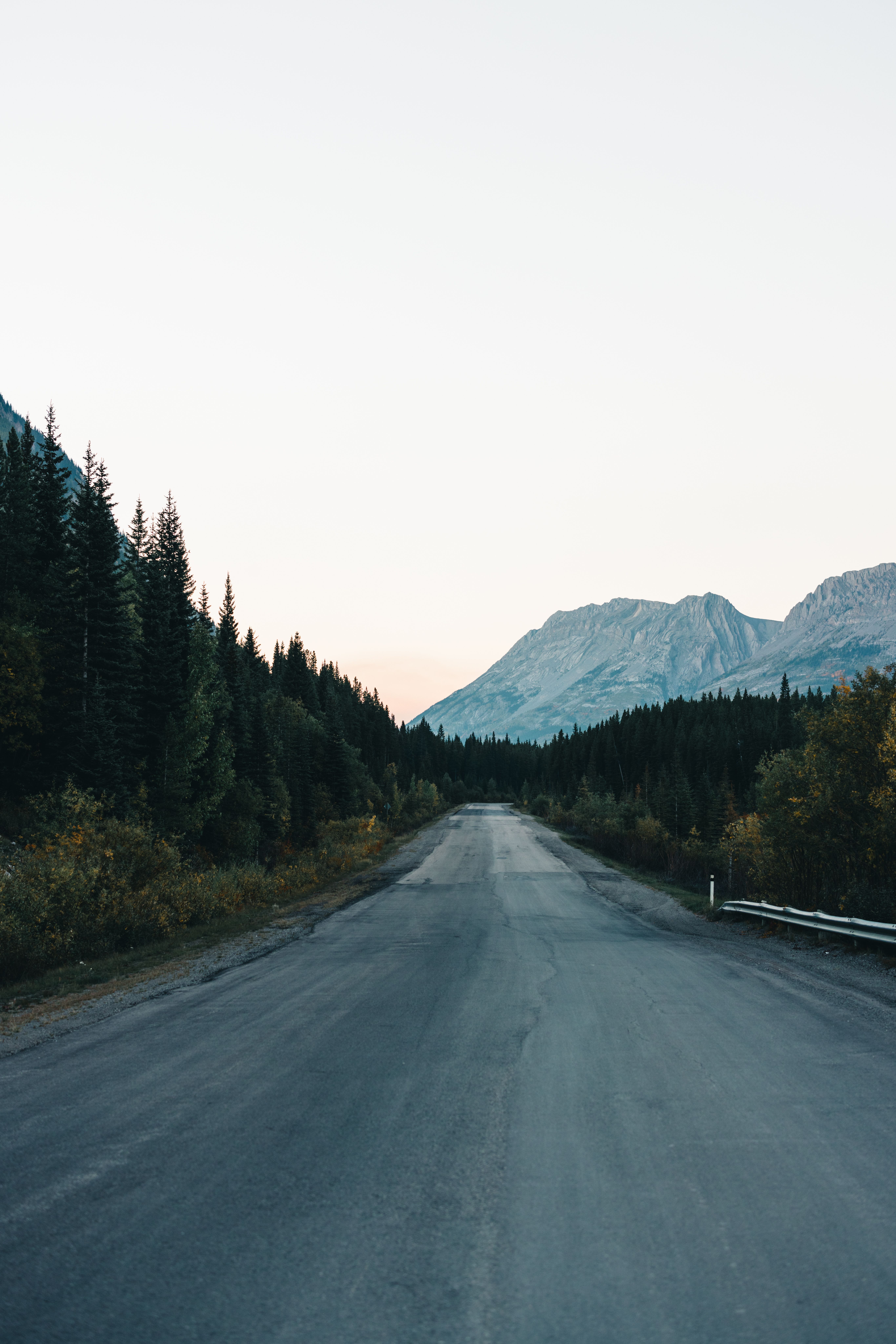 Sunrise over a scenic national park road with mountains and pine trees