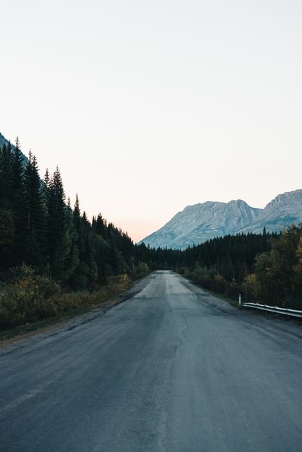 Sunrise over a scenic national park road with mountains and pine trees