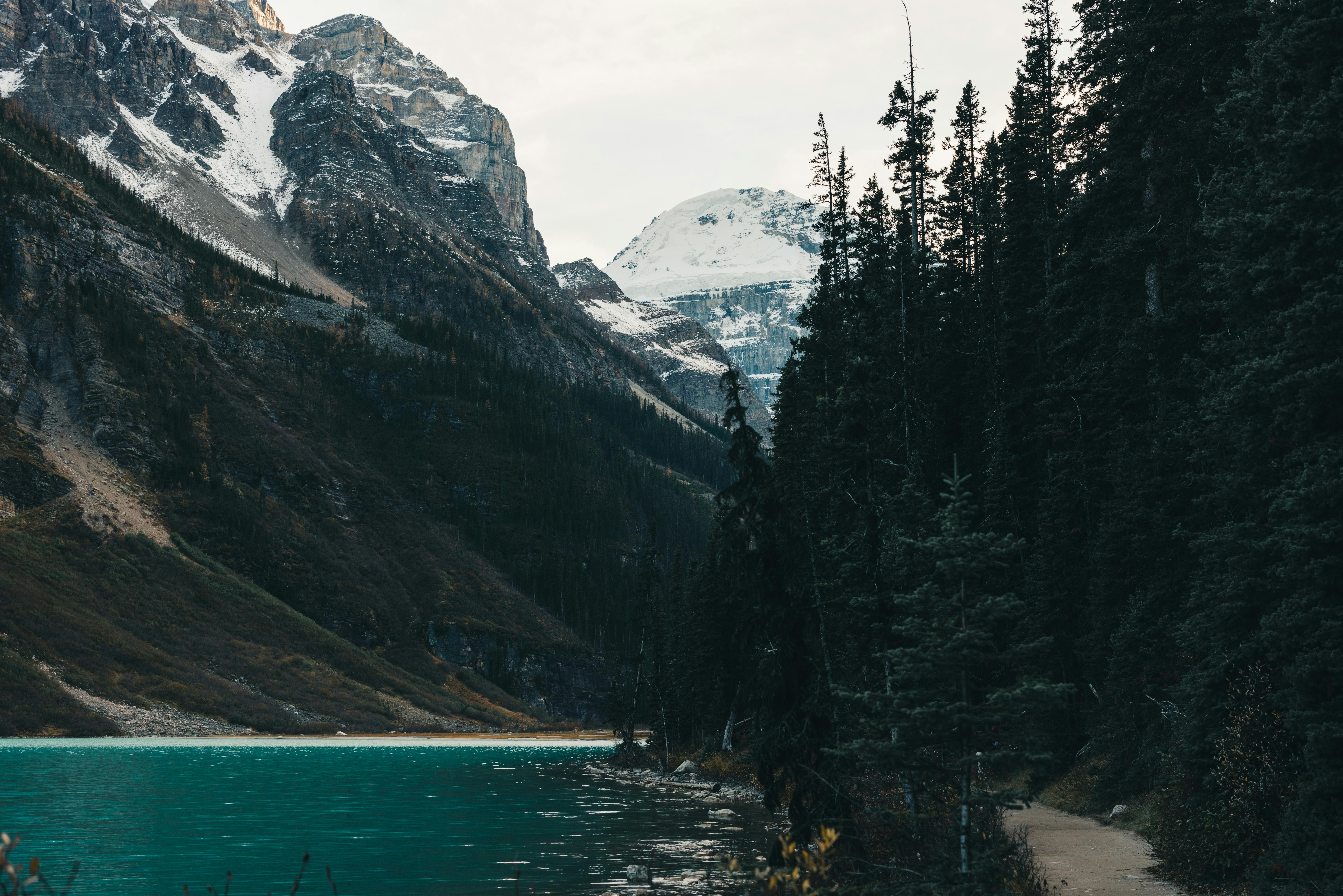 Alberta to spend $2.7m on AI learning kits for K-12 students in push to modernize classrooms — Photo by Ali Kazal on Pexels