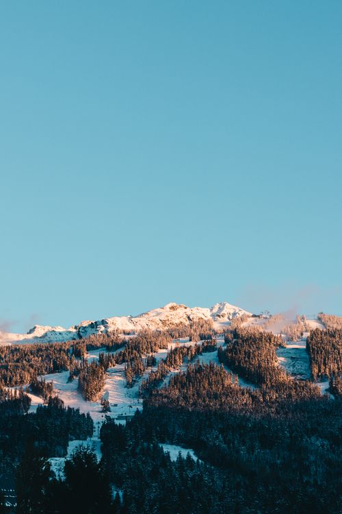 Free Breathtaking winter landscape of snow-covered mountains and forest in Whistler, Canada. Stock Photo