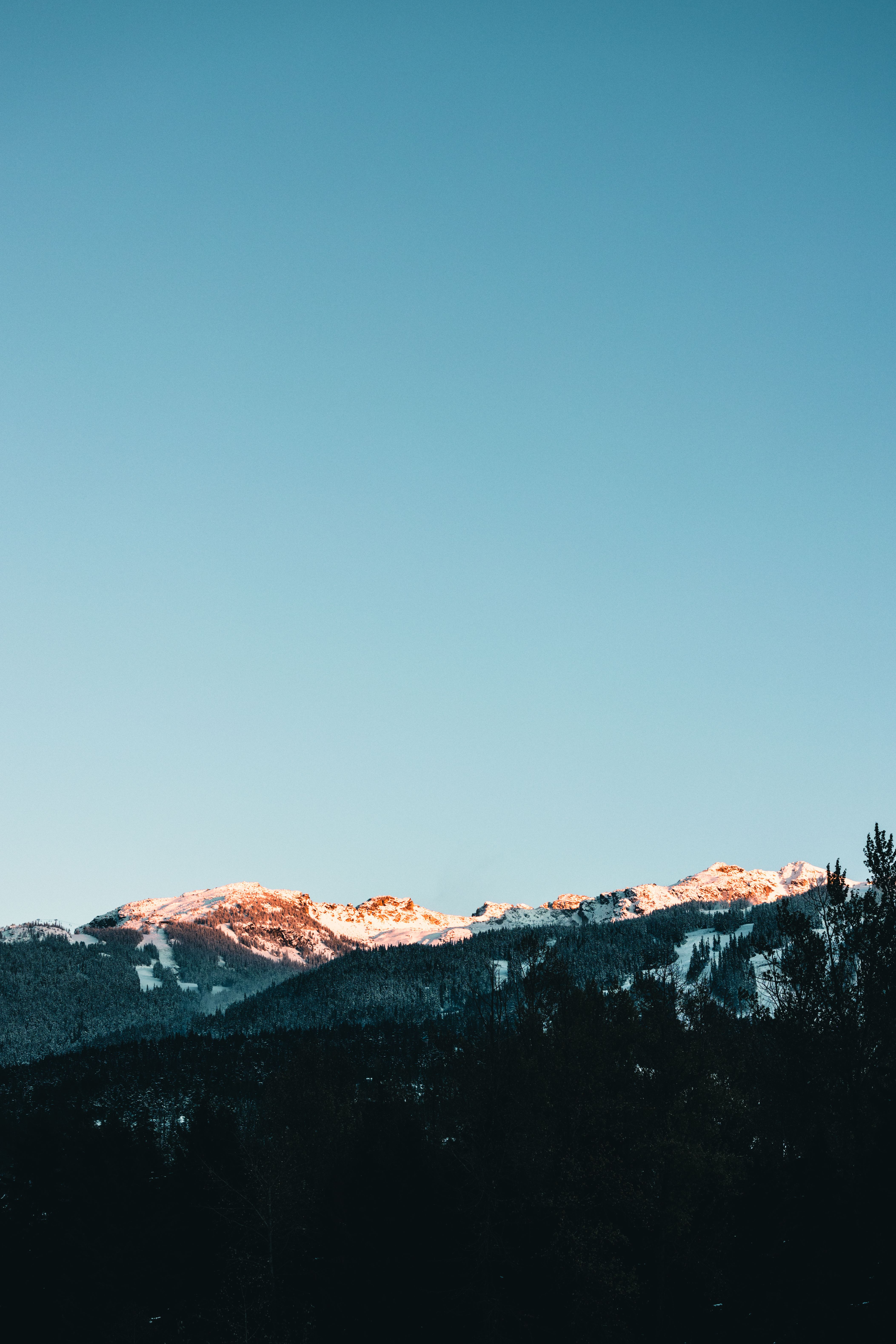 Stunning sunset view of snow-capped Whistler Mountains with clear sky and forest foreground.