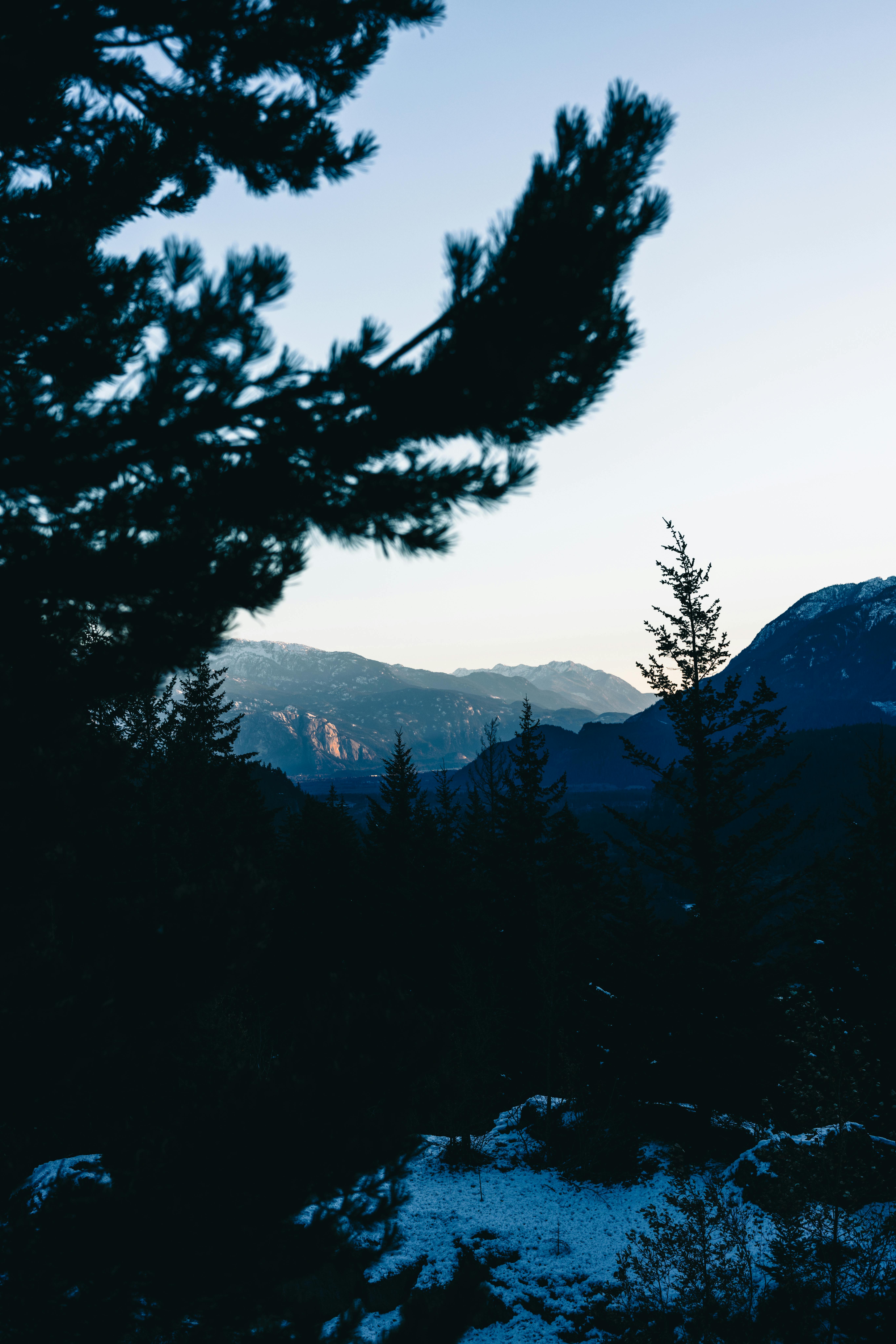 Capture the serene mountain scenery with snow-clad trees and peaks in Whistler, Canada.