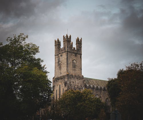View of the St Marys Cathedral, Limerick, Ireland 