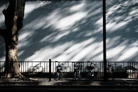 Bicycles lined up against a railing with tree shadows on a sunny city street.