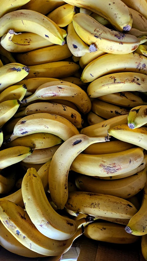 Základová fotografie zdarma na téma banány, hojnost, kontejner