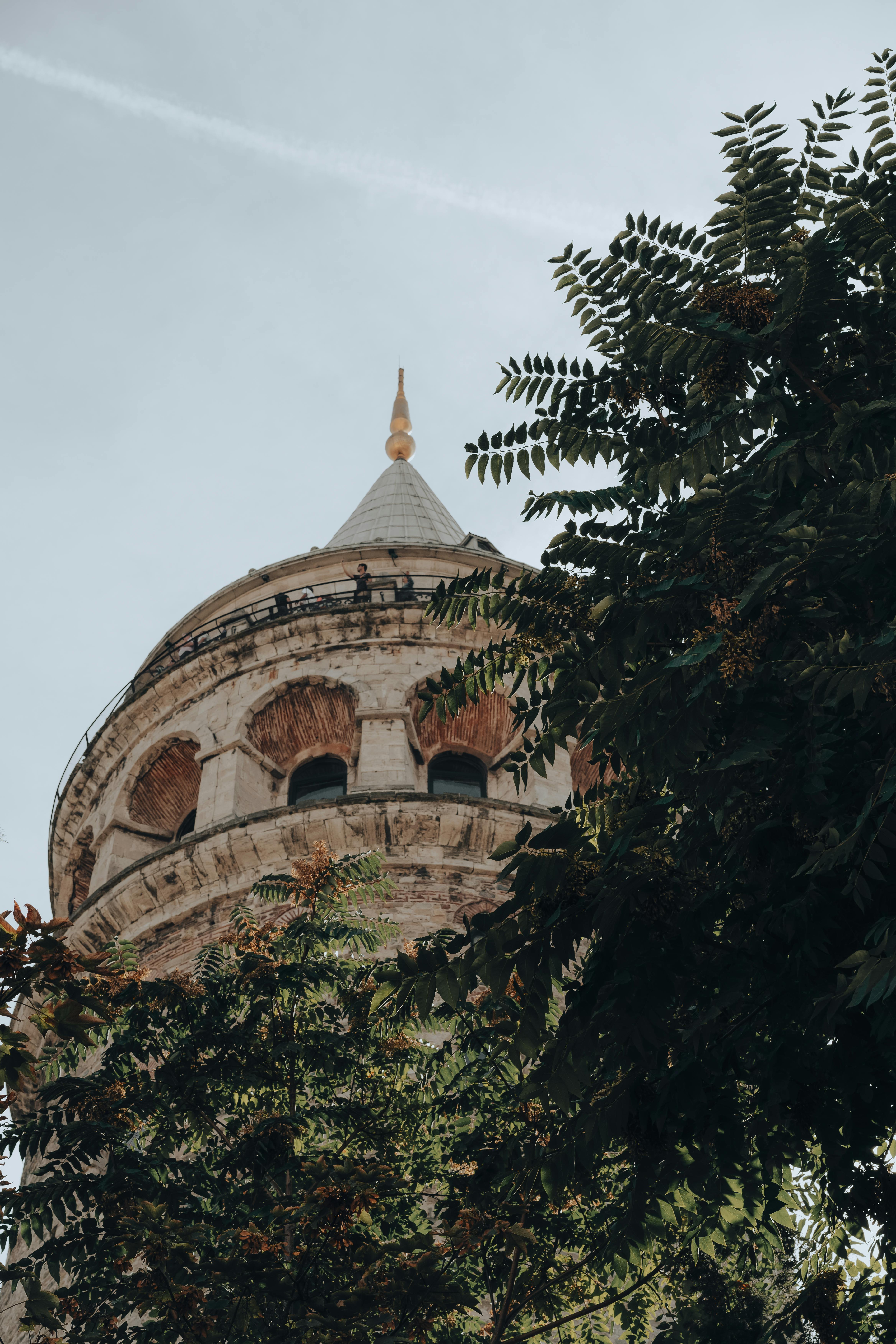 A captivating view of Galata Tower surrounded by green foliage, showcasing Istanbul's iconic landmark.