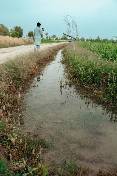 Free A tranquil rural scene with a dirt road and puddle surrounded by lush fields and trees. Stock Photo