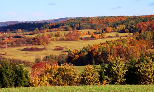 Autumn Landscape of Forests and Hills