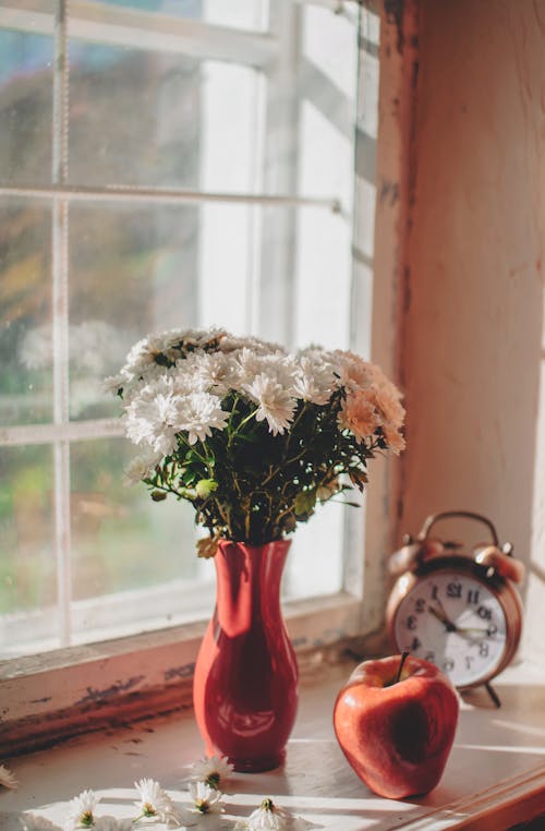 White Flowers in Vase on Windowsill