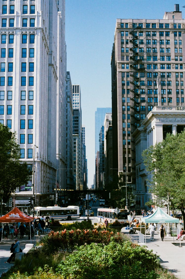 Chicago Downtown In Summer