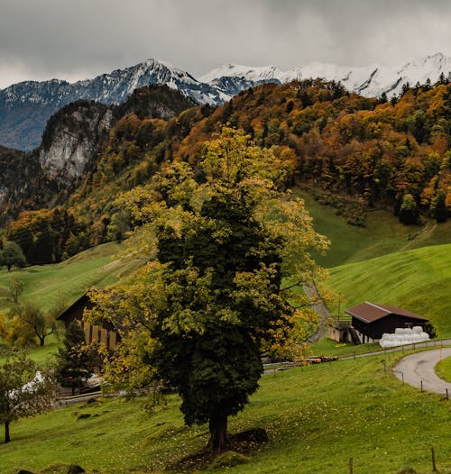 Houses in Mountains in Autumn