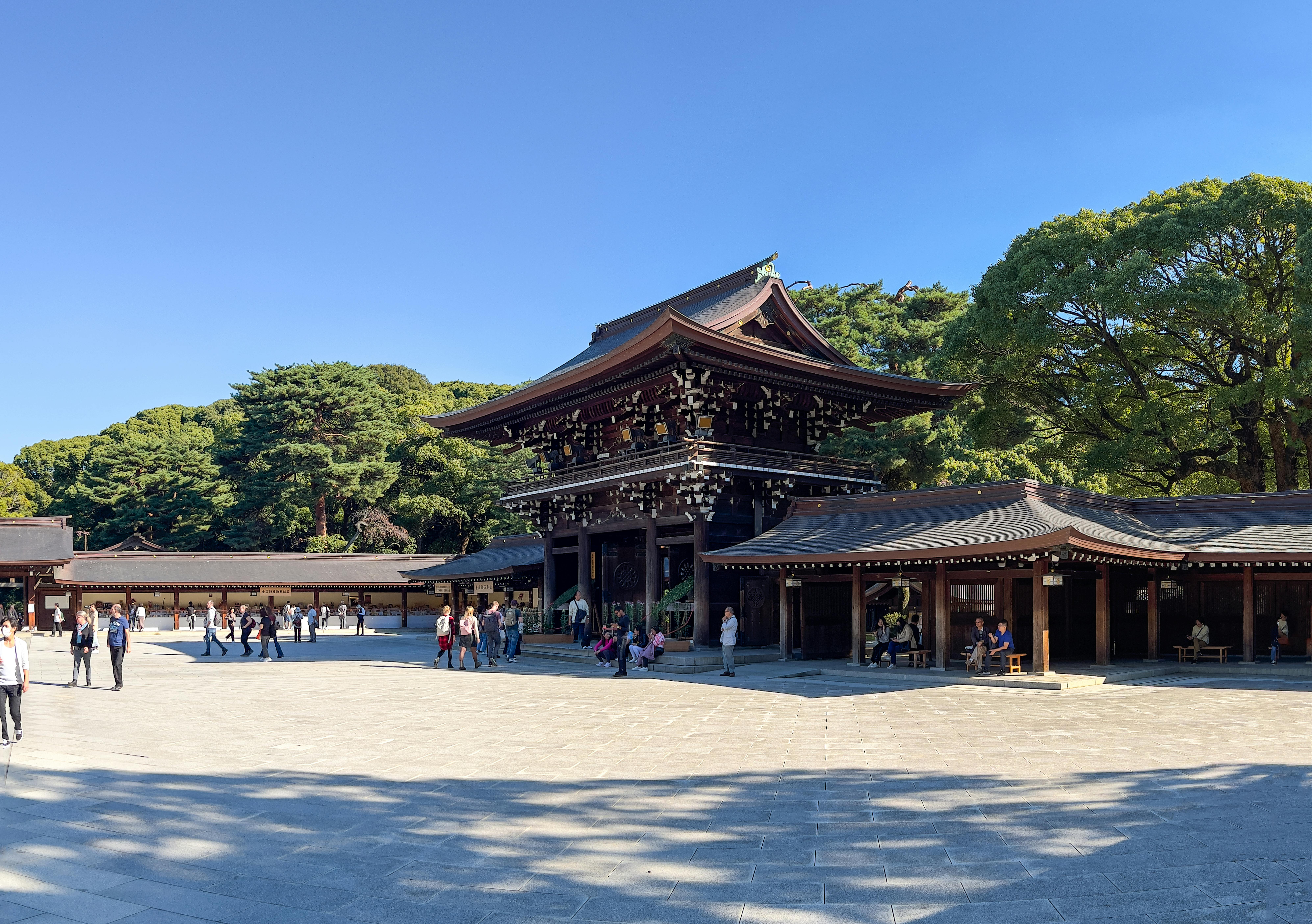 Massive wooden torii gate at Meiji Shrine entrance in Tokyo with sunlight filtering through ancient forest canopy above