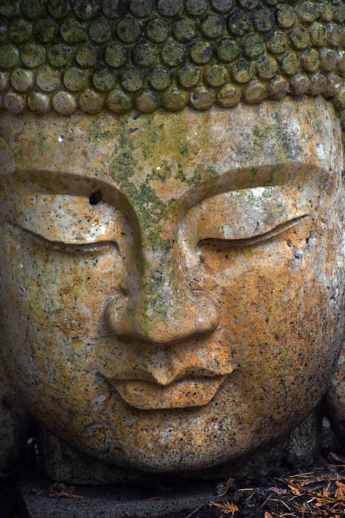 Immagine gratuita di avvicinamento, buddha, buddista