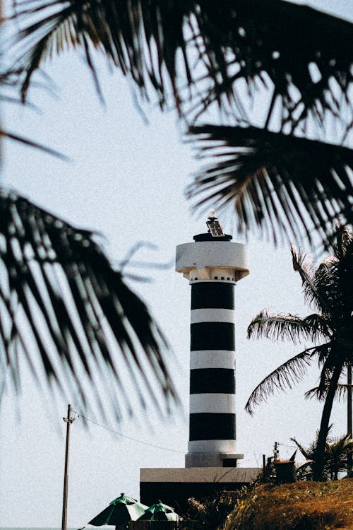 View on a Lighthouse Through Palm Leaves