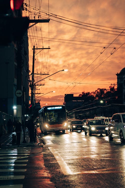 Cars on the Street in City at Sunset 