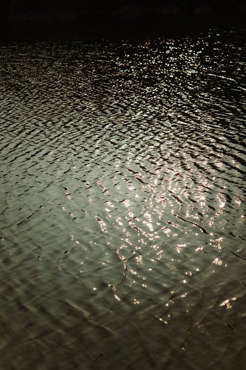 Imagine de stoc gratuită din fotografiere verticală, lac, lumina soarelui
