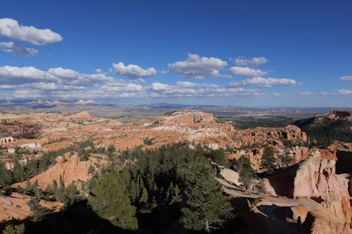 Bryce Canyon National Park in Summer