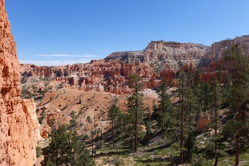 Free Captivating summer view of Bryce Canyon's unique hoodoo rock formations under a clear blue sky. Stock Photo