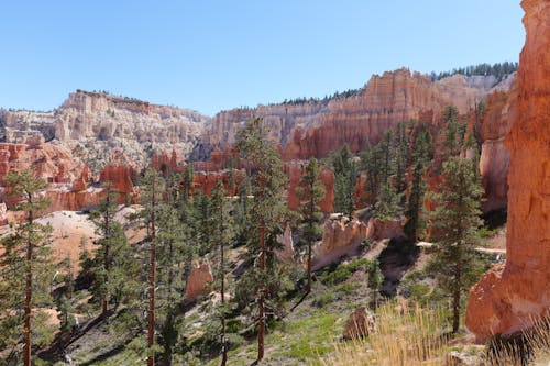 Ingyenes stockfotó bryce canyon, drónfelvétel, erodált témában