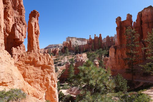 Rock Formations of Bryce Canyon in USA