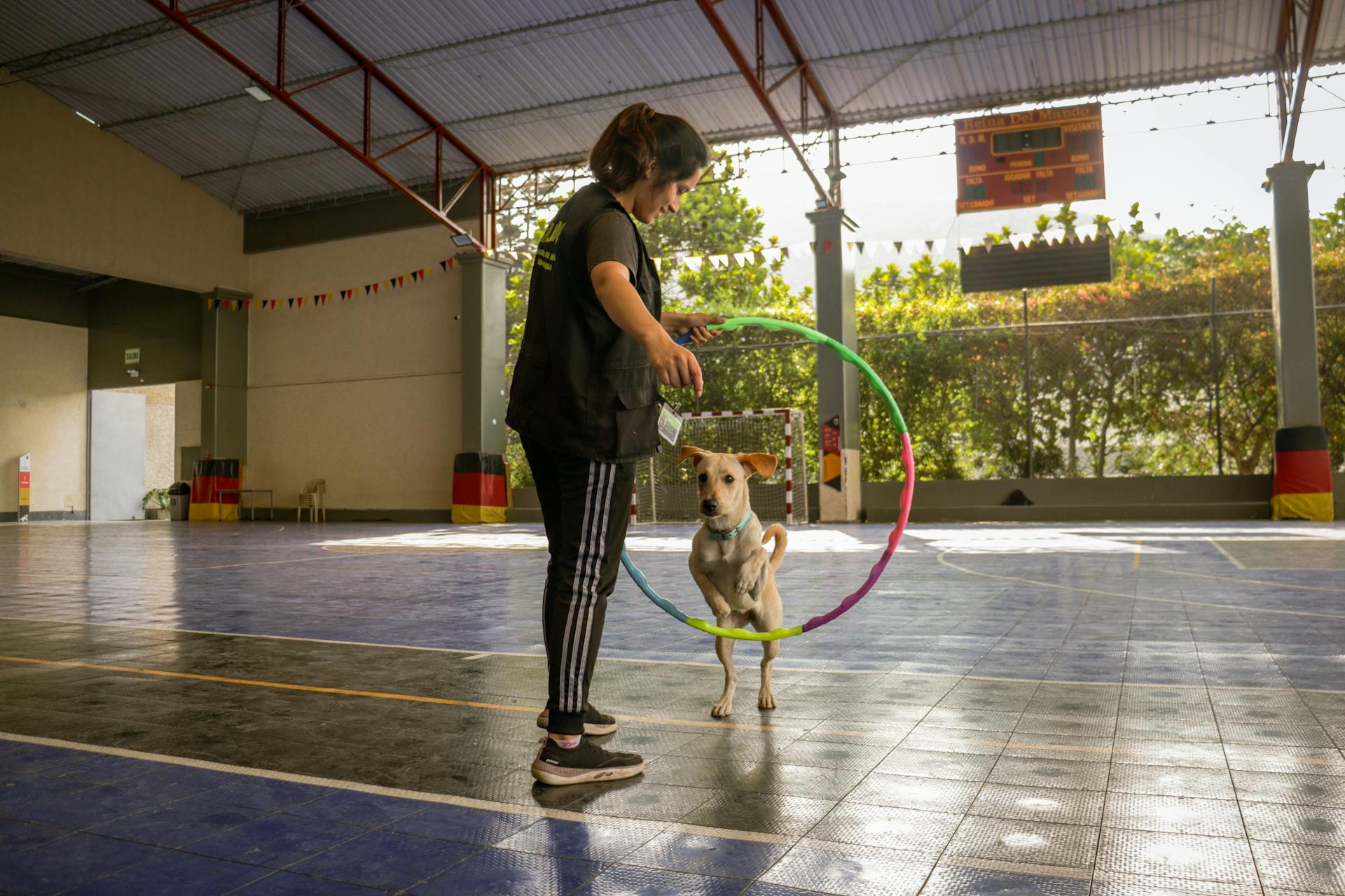 A Girl Training a Dog