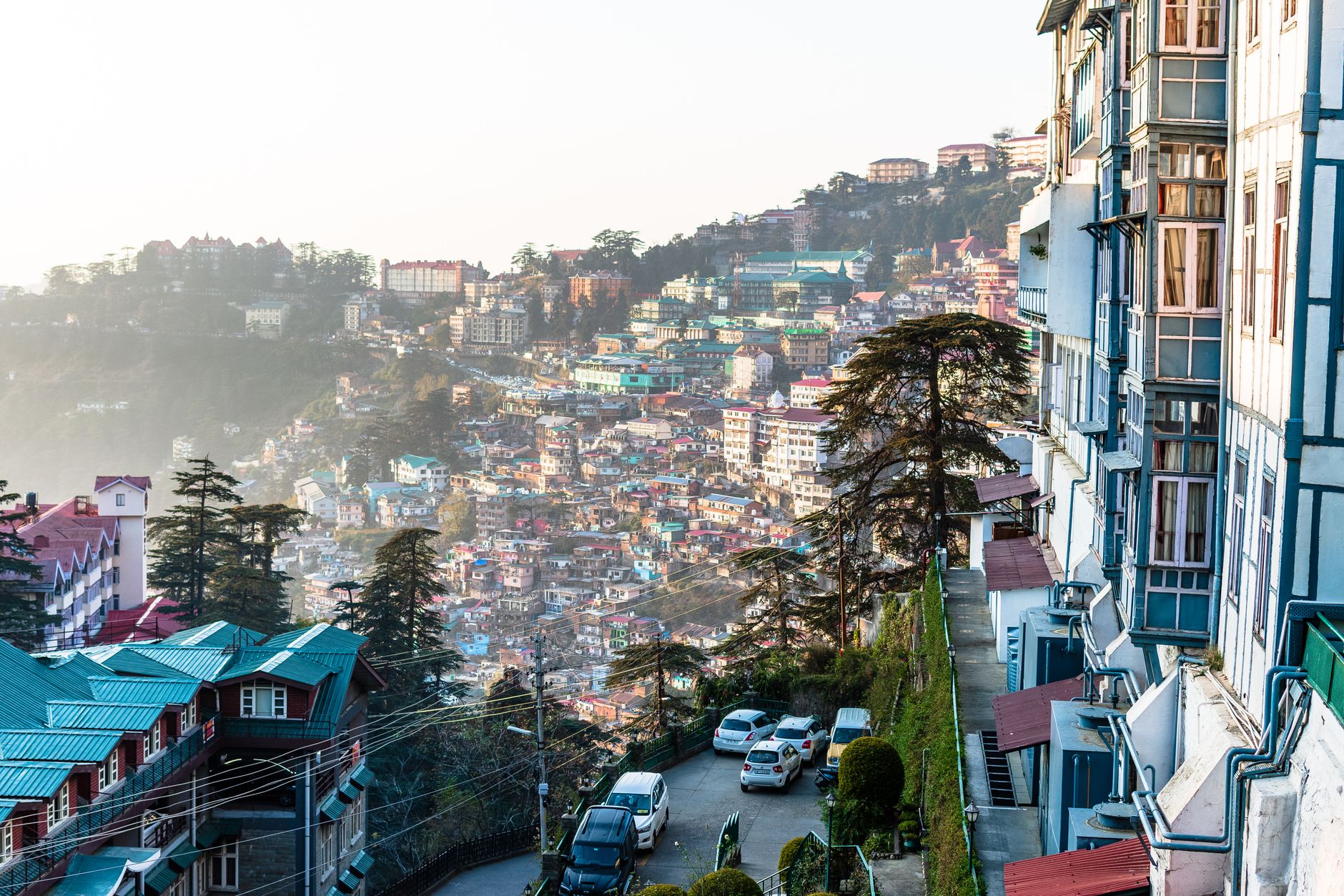 Shimla