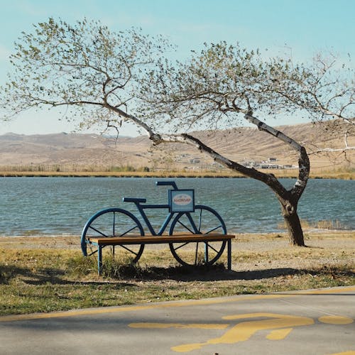 Bicycle Shape Bench by River