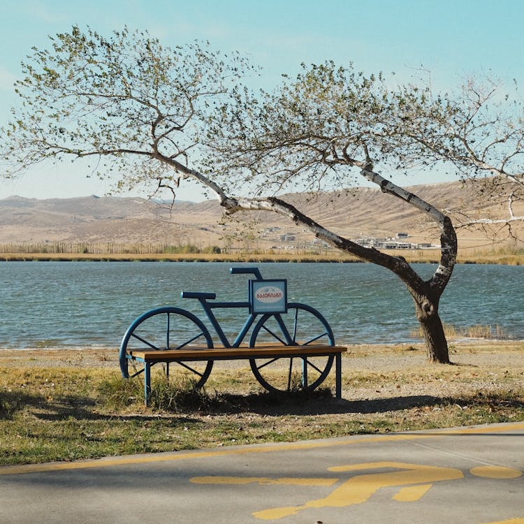 Bicycle Shape Bench By River