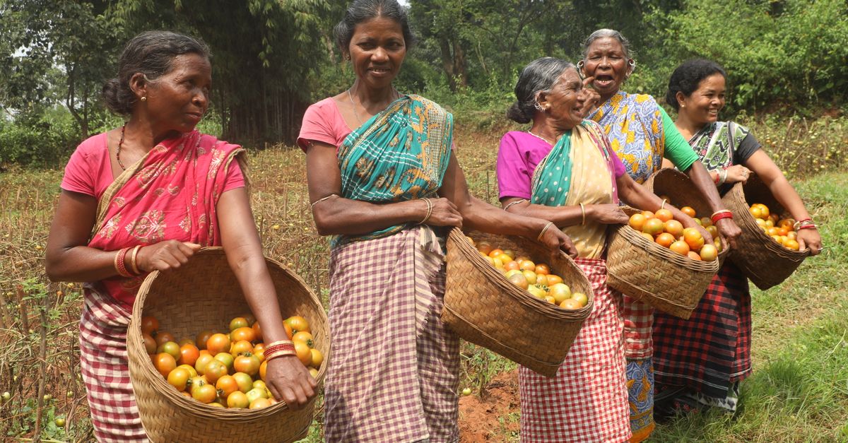 Karnataka Government Pledges Comprehensive Support for Drought-Hit Raichur Farmers