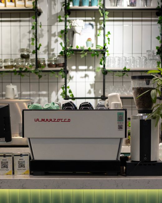 Elegant café counter with a La Marzocco espresso machine and greenery.