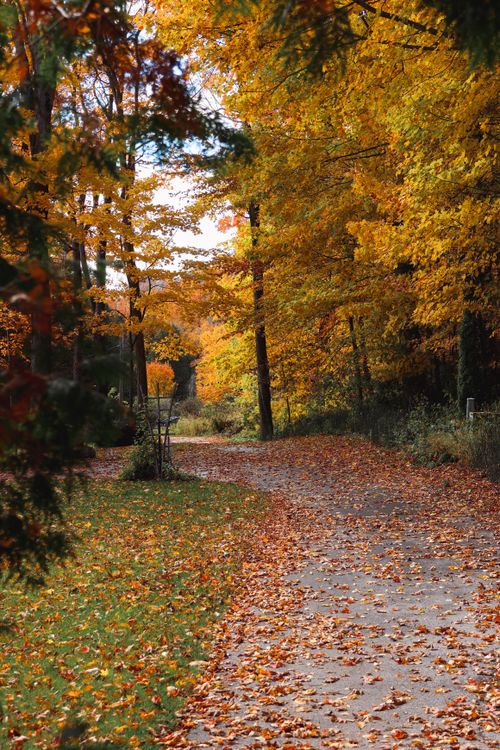 Free Charming autumn footpath in Sturgeon Bay, WI, surrounded by vibrant fall foliage. Stock Photo