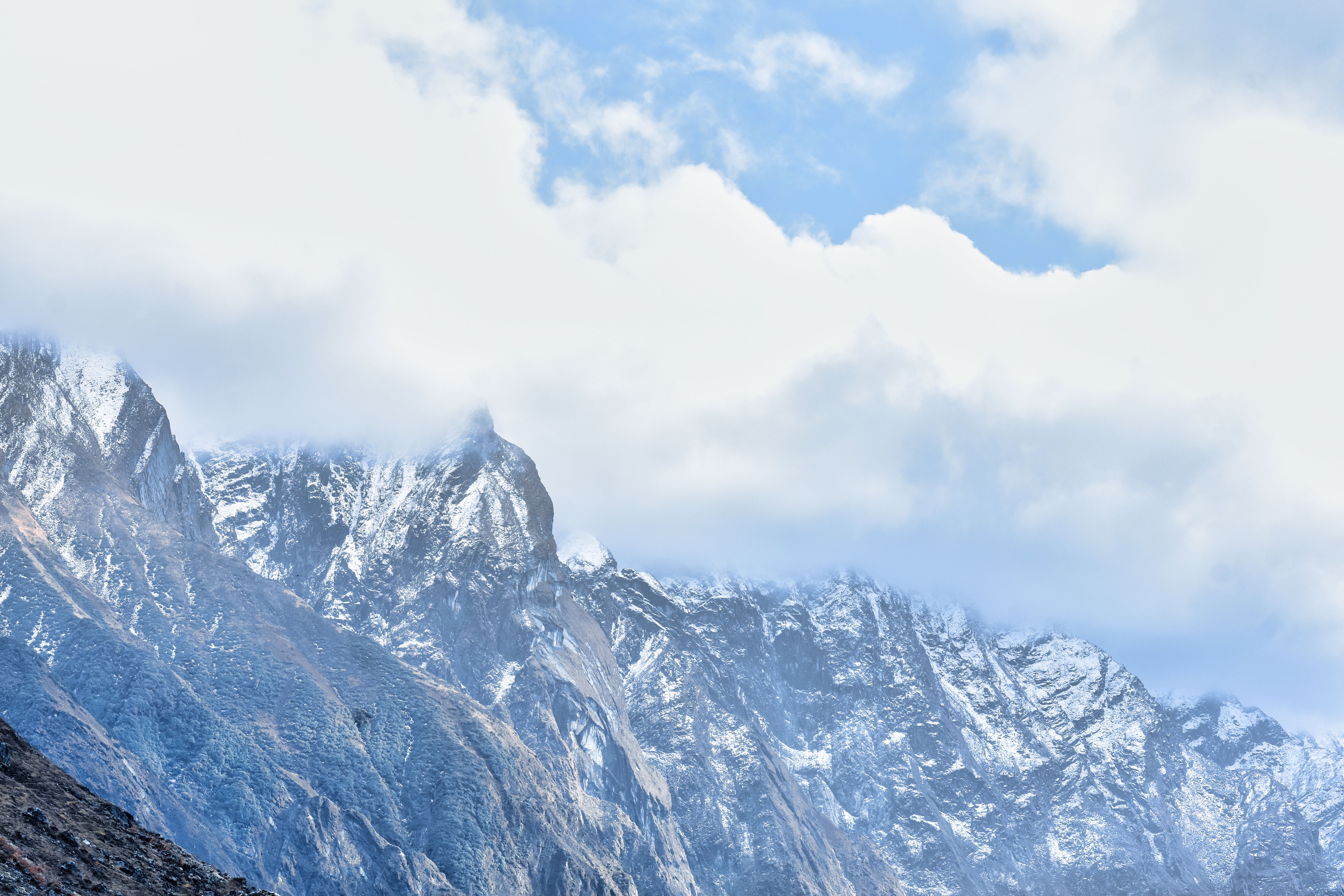 7 Day Jungle-Immersive Ayurvedic Panchakarma Detox in Himalayas 1