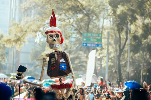 Základová fotografie zdarma na téma bailar, catrina, cestování